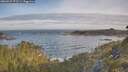 ./images/calvert/foggy-cove/20260527/foggy-cove20260527_073501M.jpg
