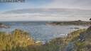 ./images/calvert/foggy-cove/20260527/foggy-cove20260527_074001M.jpg