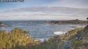 ./images/calvert/foggy-cove/20260527/foggy-cove20260527_074501M.jpg