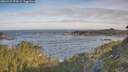 ./images/calvert/foggy-cove/20260527/foggy-cove20260527_075002M.jpg