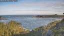 ./images/calvert/foggy-cove/20260527/foggy-cove20260527_075501M.jpg