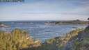 ./images/calvert/foggy-cove/20260527/foggy-cove20260527_080501M.jpg