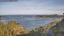 ./images/calvert/foggy-cove/20260527/foggy-cove20260527_081002M.jpg