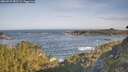 ./images/calvert/foggy-cove/20260527/foggy-cove20260527_081501M.jpg