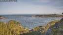 ./images/calvert/foggy-cove/20260527/foggy-cove20260527_082001M.jpg