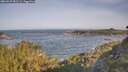 ./images/calvert/foggy-cove/20260527/foggy-cove20260527_082501M.jpg