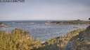 ./images/calvert/foggy-cove/20260527/foggy-cove20260527_083001M.jpg
