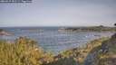 ./images/calvert/foggy-cove/20260527/foggy-cove20260527_083501M.jpg