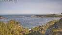 ./images/calvert/foggy-cove/20260527/foggy-cove20260527_084001M.jpg