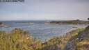 ./images/calvert/foggy-cove/20260527/foggy-cove20260527_085001M.jpg
