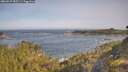./images/calvert/foggy-cove/20260527/foggy-cove20260527_085501M.jpg