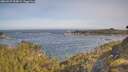 ./images/calvert/foggy-cove/20260527/foggy-cove20260527_090001M.jpg