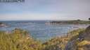 ./images/calvert/foggy-cove/20260527/foggy-cove20260527_090501M.jpg