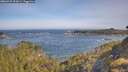 ./images/calvert/foggy-cove/20260527/foggy-cove20260527_091001M.jpg