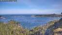 ./images/calvert/foggy-cove/20260527/foggy-cove20260527_092002M.jpg