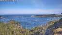 ./images/calvert/foggy-cove/20260527/foggy-cove20260527_092501M.jpg