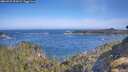 ./images/calvert/foggy-cove/20260527/foggy-cove20260527_093001M.jpg
