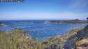 ./images/calvert/foggy-cove/20260527/foggy-cove20260527_093501M.jpg