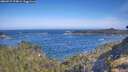 ./images/calvert/foggy-cove/20260527/foggy-cove20260527_094001M.jpg