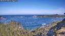 ./images/calvert/foggy-cove/20260527/foggy-cove20260527_094501M.jpg
