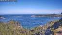 ./images/calvert/foggy-cove/20260527/foggy-cove20260527_095001M.jpg