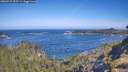 ./images/calvert/foggy-cove/20260527/foggy-cove20260527_095501M.jpg