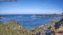 ./images/calvert/foggy-cove/20260527/foggy-cove20260527_100001M.jpg