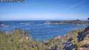 ./images/calvert/foggy-cove/20260527/foggy-cove20260527_100501M.jpg