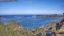 ./images/calvert/foggy-cove/20260527/foggy-cove20260527_101001M.jpg
