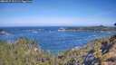 ./images/calvert/foggy-cove/20260527/foggy-cove20260527_101501M.jpg