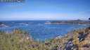 ./images/calvert/foggy-cove/20260527/foggy-cove20260527_102001M.jpg