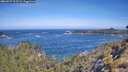 ./images/calvert/foggy-cove/20260527/foggy-cove20260527_102501M.jpg