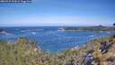 ./images/calvert/foggy-cove/20260527/foggy-cove20260527_103001M.jpg