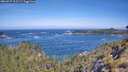 ./images/calvert/foggy-cove/20260527/foggy-cove20260527_103501M.jpg