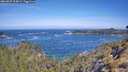 ./images/calvert/foggy-cove/20260527/foggy-cove20260527_104001M.jpg