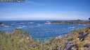 ./images/calvert/foggy-cove/20260527/foggy-cove20260527_104501M.jpg