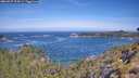 ./images/calvert/foggy-cove/20260527/foggy-cove20260527_105001M.jpg