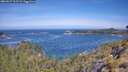 ./images/calvert/foggy-cove/20260527/foggy-cove20260527_105501M.jpg