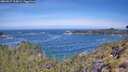 ./images/calvert/foggy-cove/20260527/foggy-cove20260527_110001M.jpg