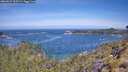 ./images/calvert/foggy-cove/20260527/foggy-cove20260527_110501M.jpg