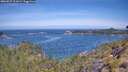 ./images/calvert/foggy-cove/20260527/foggy-cove20260527_111001M.jpg