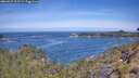 ./images/calvert/foggy-cove/20260527/foggy-cove20260527_111501M.jpg