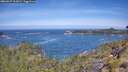 ./images/calvert/foggy-cove/20260527/foggy-cove20260527_112001M.jpg