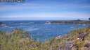 ./images/calvert/foggy-cove/20260527/foggy-cove20260527_113001M.jpg