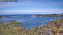 ./images/calvert/foggy-cove/20260527/foggy-cove20260527_113501M.jpg