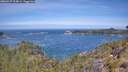 ./images/calvert/foggy-cove/20260527/foggy-cove20260527_114001M.jpg