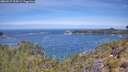 ./images/calvert/foggy-cove/20260527/foggy-cove20260527_114501M.jpg