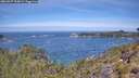 ./images/calvert/foggy-cove/20260527/foggy-cove20260527_115001M.jpg