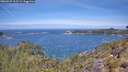 ./images/calvert/foggy-cove/20260527/foggy-cove20260527_115501M.jpg