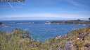 ./images/calvert/foggy-cove/20260527/foggy-cove20260527_120002M.jpg